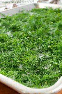 فروش ویژه اینترنتی شوید خشک اعلا + قیمت عادلانه